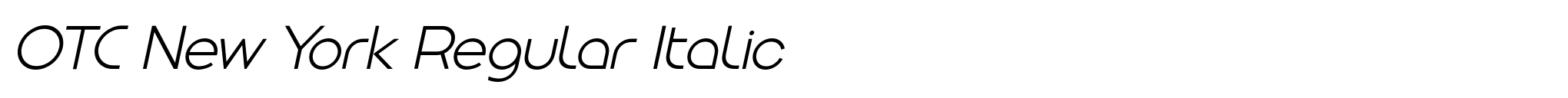 OTC New York Regular Italic image